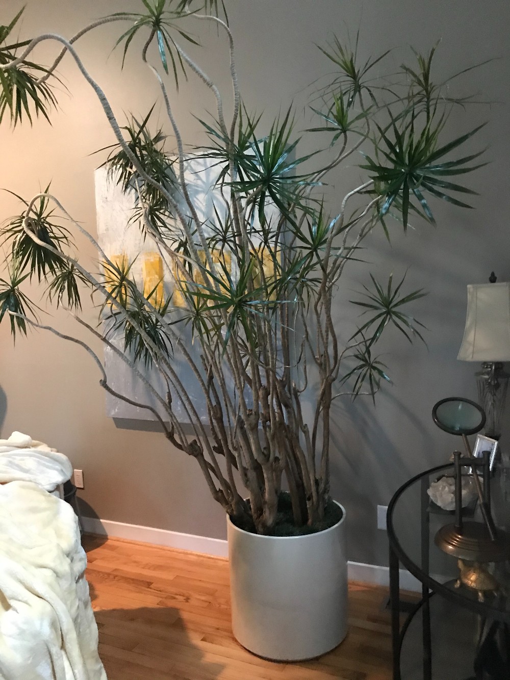 6B67B289-806A-4E52-A98E-6078E91C2858